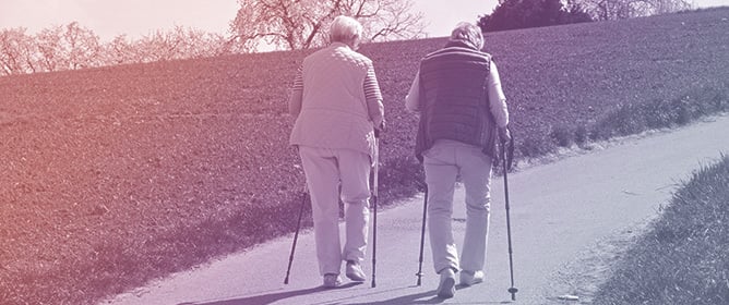Prevention and Mitigation of Frailty Syndrome in Institutionalised Older Adults Through Physical Activity: A Systematic Review