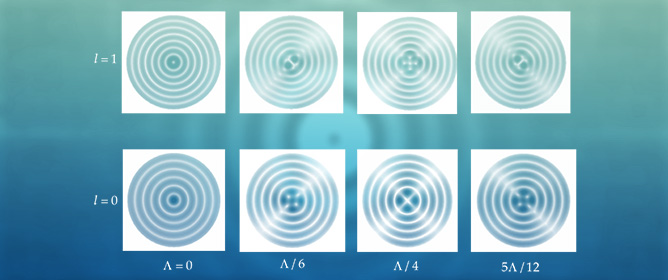 Bessel Beams in Gyroanisotropic Crystals with Optical Activity