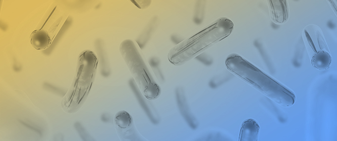 Current Updates on <em>Limosilactobacillus reuteri</em>: Brief History, Health Benefits, Antimicrobial Properties, and Challenging Applications in Dairy Products
