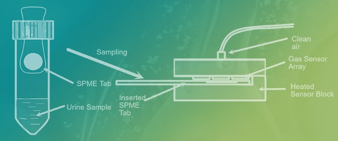 Optimising Urinary Volatile Organic Compounds for Detection of Colorectal Cancer