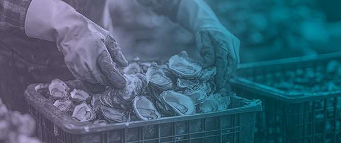 Exploring Nationwide Oyster Aquaculture Data: An Index to Compare Regulatory, Production, and Economic Attributes of Oyster Aquaculture Among U.S. States and Regions