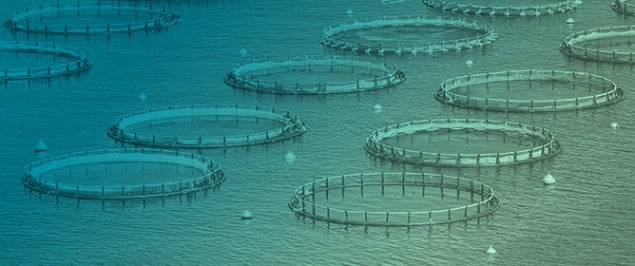 Redefining Aquaculture Safety with Artificial Intelligence: Design Innovations, Trends, and Future Perspectives