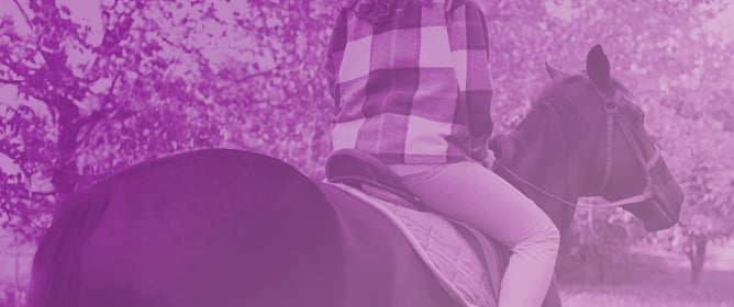 EU Vibration Limit Values May Be Too Strict for Evaluating the Effect of Impact Loading on the Lower Back During Horse Riding