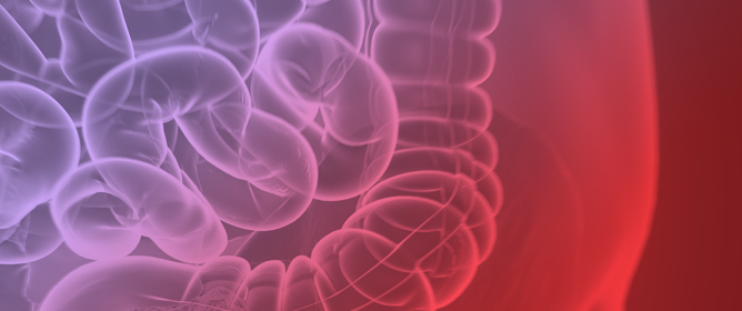 Prolonged Survival of Refractory mCRC with Regorafenib Plus 5-Fluorouracil