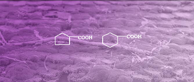 Biodegradation of Naphthenic Acids in the Presence of <em>Spirulina platensis</em> Algae