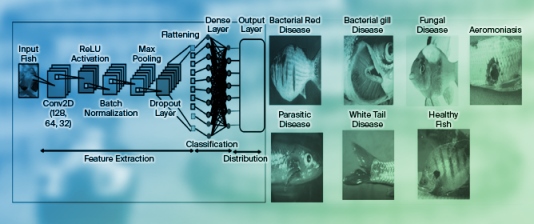 Enhancing Disease Detection in the Aquaculture Sector Using Convolutional Neural Networks Analysis