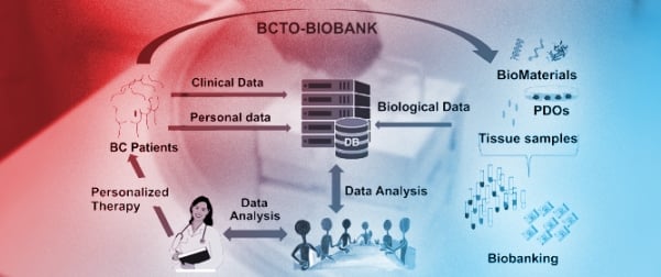Breast Cancer Tissues and Organoids BioBank: Constitution, Research Activities and Samples Access