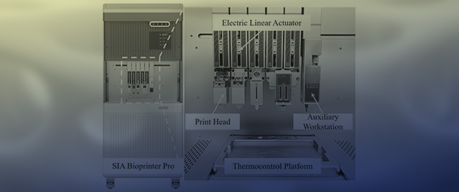 Multi-Nozzles 3D Bioprinting Collagen/Thermoplastic Elastomer Scaffold with Interconnect Pores