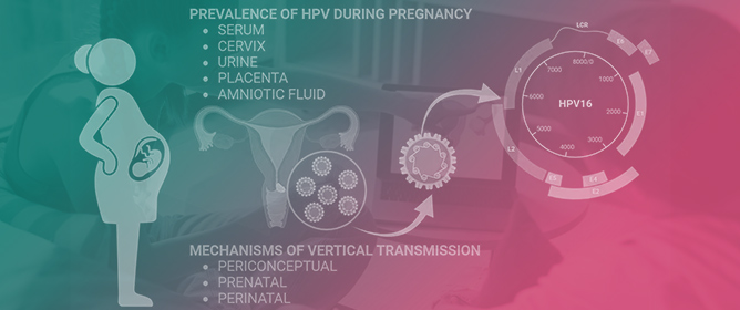 HPV Infection in Children and Adolescents&mdash;A Comprehensive Review