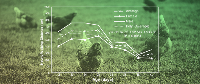 Automated Broiler Mobility Evaluation Through DL and ML Models: An Alternative Approach to Manual Gait Assessment