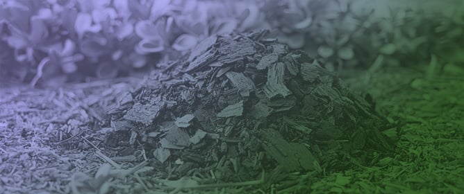 Biochar as a Feedstock for Sustainable Fertilizers: Recent Advances and Perspectives