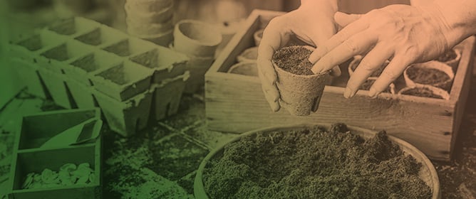 Soil Fertility and Plant Growth Enhancement Through Compost Treatments Under Varied Irrigation Conditions