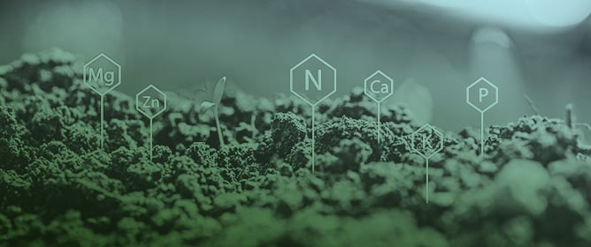 Sustainable Practices for Enhancing Soil Health and Crop Quality in Modern Agriculture: A Review