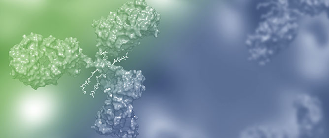 Immune Checkpoint Inhibitors and Antibody-Drug Conjugates in Urothelial Carcinoma: Current Landscape and Future Directions