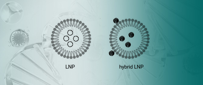 Microfluidic Optimization of PEI-Lipid Hybrid Nanoparticles for Efficient DNA Delivery and Transgene Expression