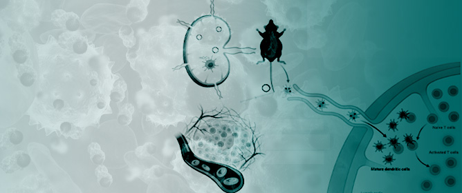 A Bionic &ldquo;Trojan Horse&rdquo;-like Nanovesicle Delivery System Hybridized with BCG Cytoplasmic Membrane and Melanoma Cell Membrane for Cancer Immunotherapy