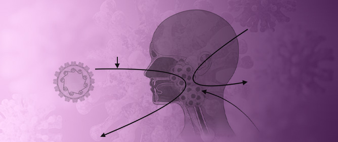 The Role of Monoclonal Antibodies as Therapeutics in HPV-Related Head and Neck Cancers: An Updated Review