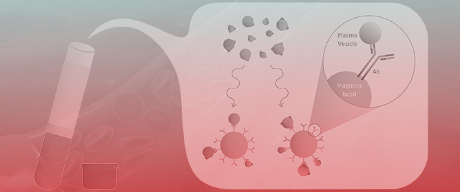 Small RNA Landscape of Platelet Dust: Platelet-Derived Extracellular Vesicles from Patients with Non-Small-Cell Lung Cancer