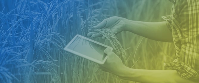 Geospatial Framework for Assessing the Suitability and Demand for Agricultural Digital Solutions in Europe: A Tool for Informed Decision-Making