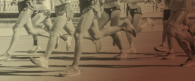 Sprinters&rsquo; and Marathon Runners&rsquo; Performances Are Better Explained by Muscle Fibers&rsquo; Percentage Cross-Sectional Area than Any Other Parameter of Muscle Fiber Composition
