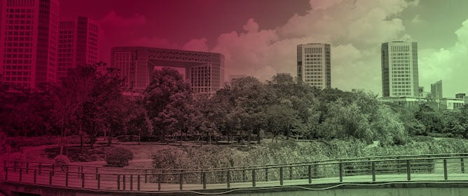 Blending Nature with Technology: Integrating NBSs with RESs to Foster Carbon-Neutral Cities
