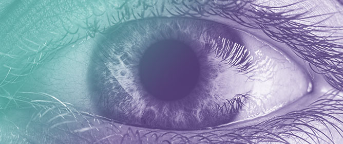 Oxidation-Induced Mixed Disulfide and Cataract Formation: A Review