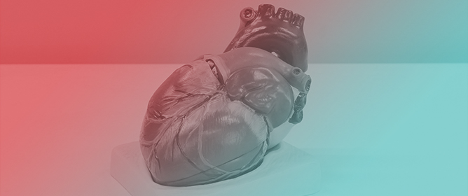 The Current Landscape of Donation After Circulatory Death Heart Transplantation&mdash;Where Do We Stand?