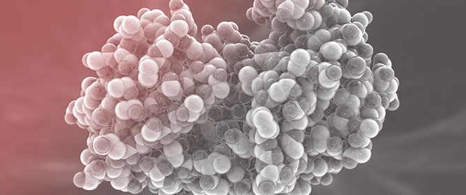 Porous Polysulfone/Activated Carbon Capsules as Scaffolds for Enzyme Immobilization