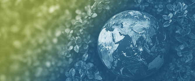 An Overview of the Green Hydrogen Value Chain Technologies and Their Challenges for a Net-Zero Future