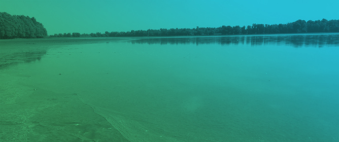 Morphological Variability of a Natural Population of Cyanobacterium <em>Raphidiopsis raciborskii</em> in a Temperate Floodplain Lake