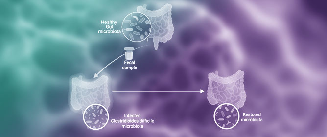 Deciphering the Structural and Functional Paradigms of <em>Clostridioides difficile</em> Toxins TcdA and TcdB