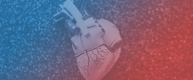 Origins of Aortic Coarctation: A Vascular Smooth Muscle Compartment Boundary Model