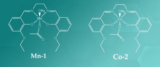 Synthesis, Reductive Reactivity and Anticancer Activity of Cobalt(III)&ndash; and Manganese(III)&ndash;Salen Complexes