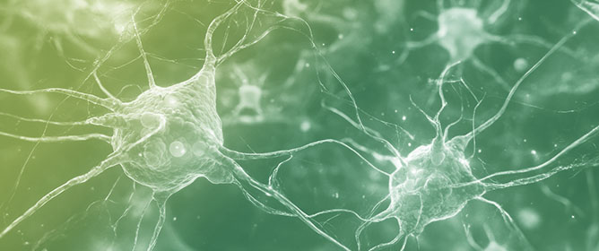 The Role of Tau in Neuronal Function and Neurodegeneration
