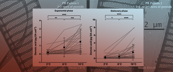 Extensive Variation in Thermal Responses and Toxin Content Among 40 Strains of the Cold-Water Diatom <em>Pseudo-nitzschia seriata</em>