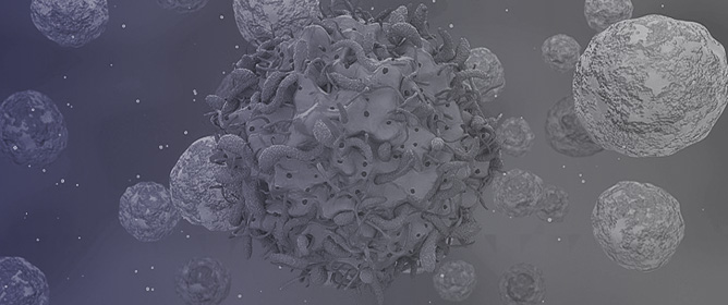 Nutritional Status of Adult People Living with HIV: A Narrative&nbsp;Review