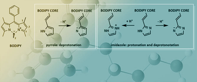 Theoretical Insights into the Impact of Pyrrole and Imidazole Substituents on the BODIPY Chromophore