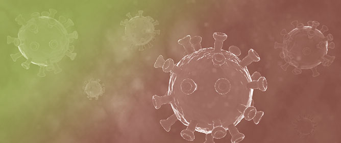 Engineered RNase P Ribozyme Against Human Coronavirus 229E