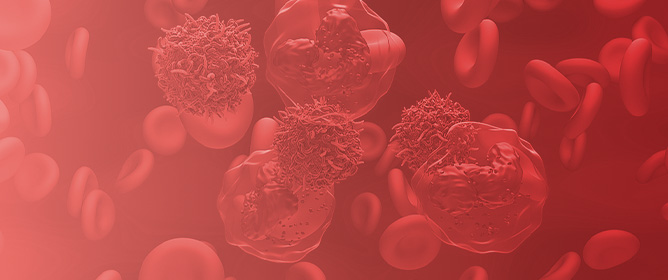 Incorporation of a Comorbidity Index in Treatment Decisions for Elderly AML Patients Can Lead to Better Disease Management
