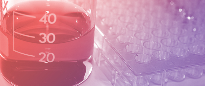Smart pH-Sensitive Collagen/HEC Films with Naproxen for Burn Healing