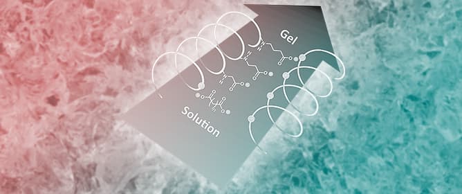 Conditions Determining the Formation of Self-Crosslinking Chitosan Hydrogels