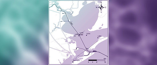Applied Time Series Analyses (2000&ndash;2017) of <em>Vibrio vulnificus</em> and <em>Vibrio parahaemolyticus</em> (Pathogenic and Non-Pathogenic Strains) in the Eastern Oyster, <em>Crassostrea virginica</em>