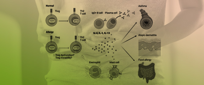 Forkhead Box Protein P3 in the Immune System