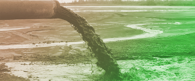 The Variability of Textural Properties and Drying Characteristics of Dehydrated Sewage Sludge