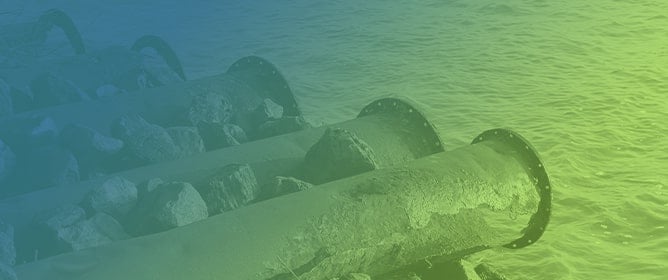 Virus Detection in Wastewater Samples