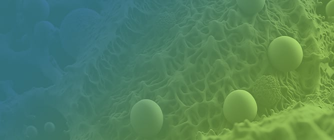 Impact of Gut Microbiome on Gut Permeability in Liver and Gut Diseases