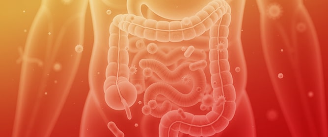 Microbiome Dysbiosis as a Driver of Neurodegeneration: Insights into Alzheimer&rsquo;s and Parkinson&rsquo;s Diseases