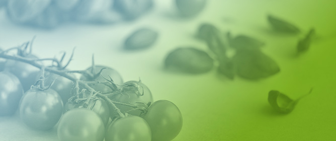 Lipids in Clinical Nutrition and Health: Narrative Review and Dietary Recommendations