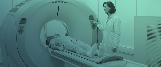 Evaluating Super-Resolution Models in Biomedical Imaging: Applications and Performance in Segmentation and Classification