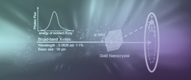 Diffracted X-Ray Tracking for Analysis of Heterogeneity of Hydrogels